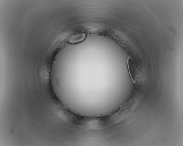 X0000113020456200909101841