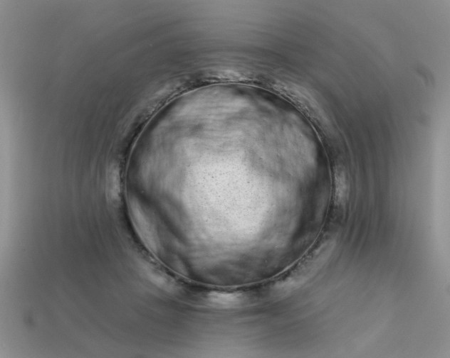 X0000113020457200909101841