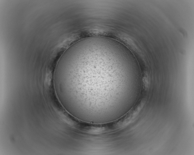 X0000113020458200909101841