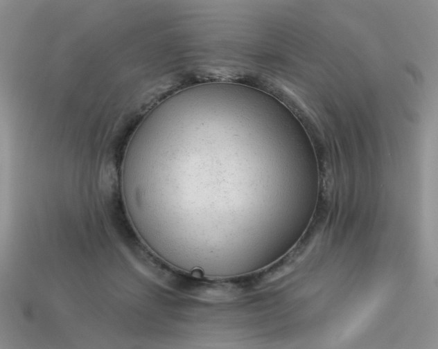 X0000113020459200909101841