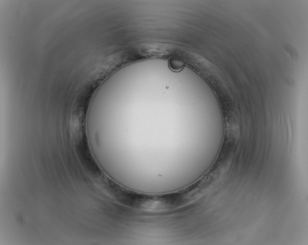 X0000113020460200909101841