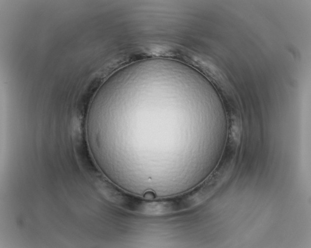 X0000113020461200909101841