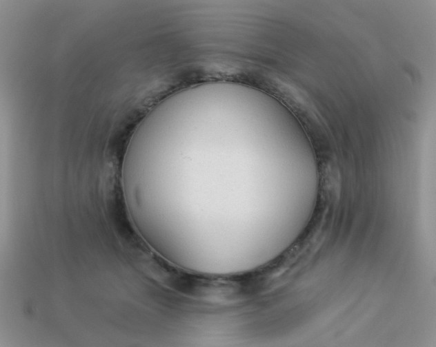 X0000113020463200909101841