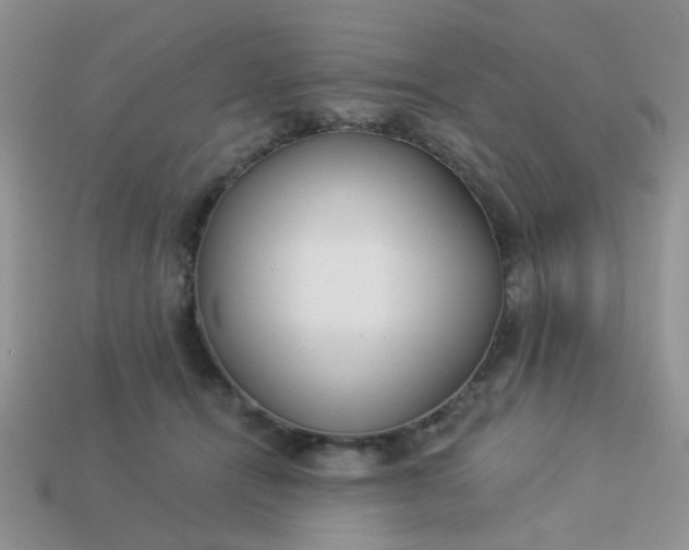 X0000113020464200909101841