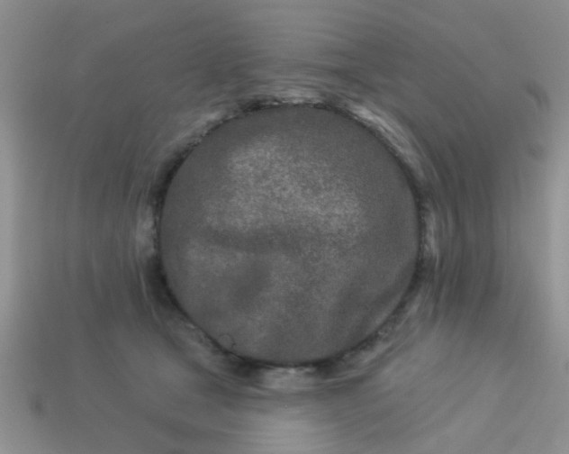 X0000113020465200909101841