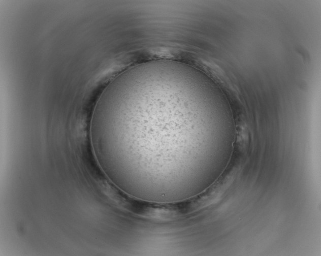 X0000113020466200909101841