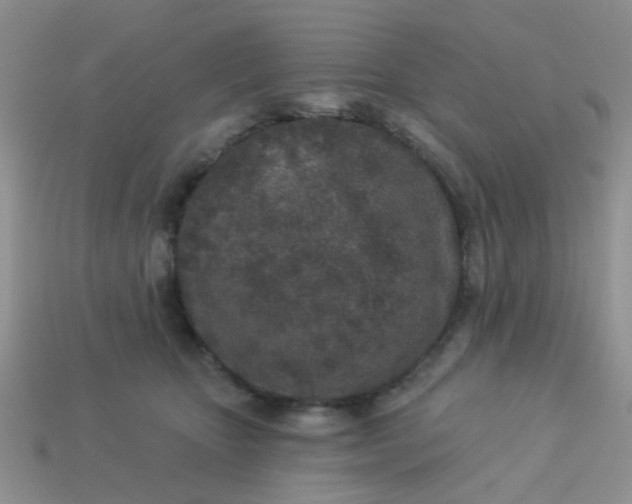 X0000113020467200909101841