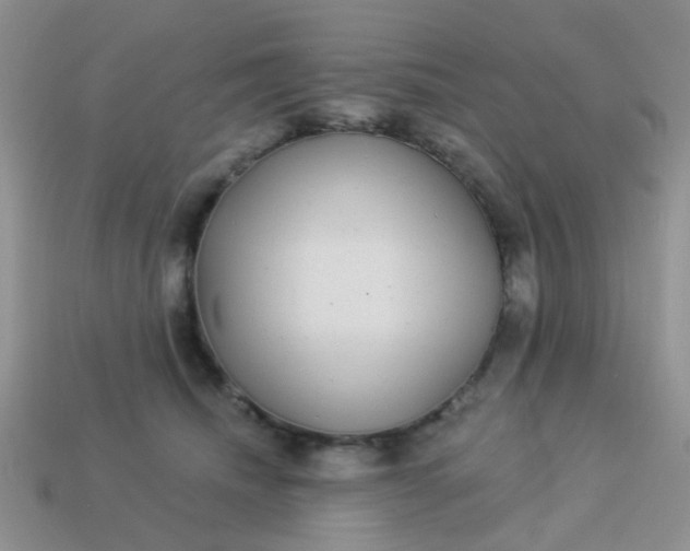 X0000113020468200909101841