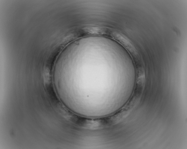 X0000113020469200909101841