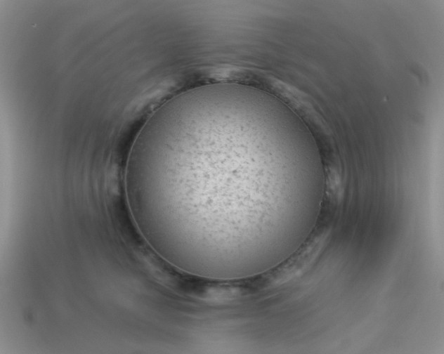 X0000113020470200909101841