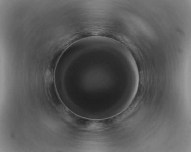 X0000113020471200909101841