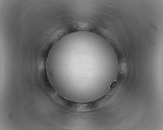 X0000113020472200909101841