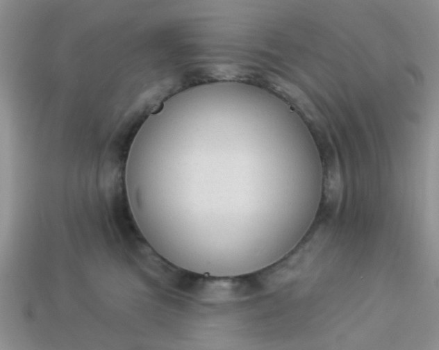 X0000113020473200909101841