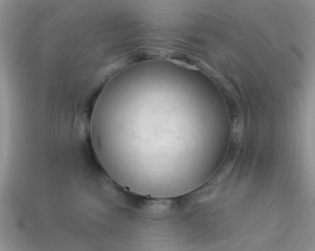X0000113020474200909101841