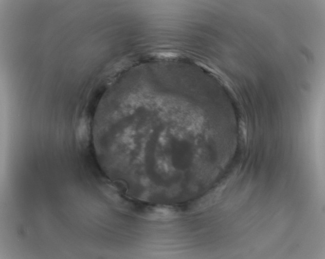 X0000113020475200909101841