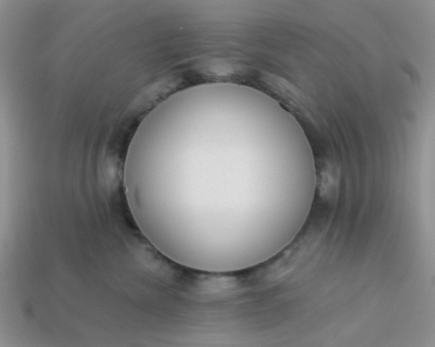 X0000113020476200909101841
