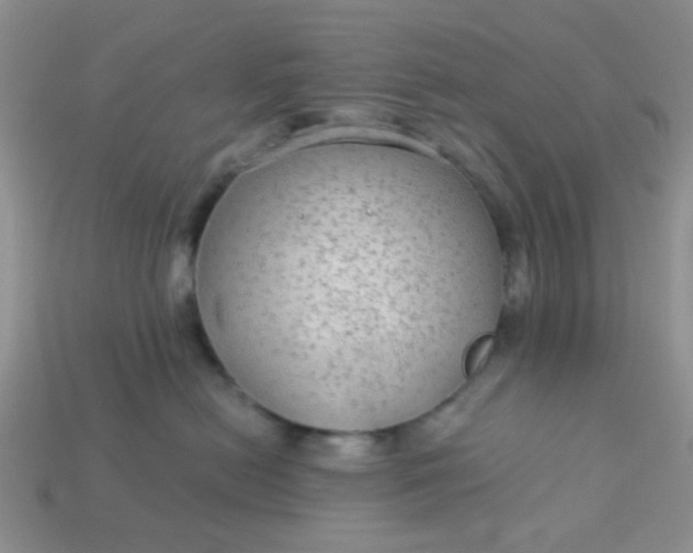 X0000113020478200909101841