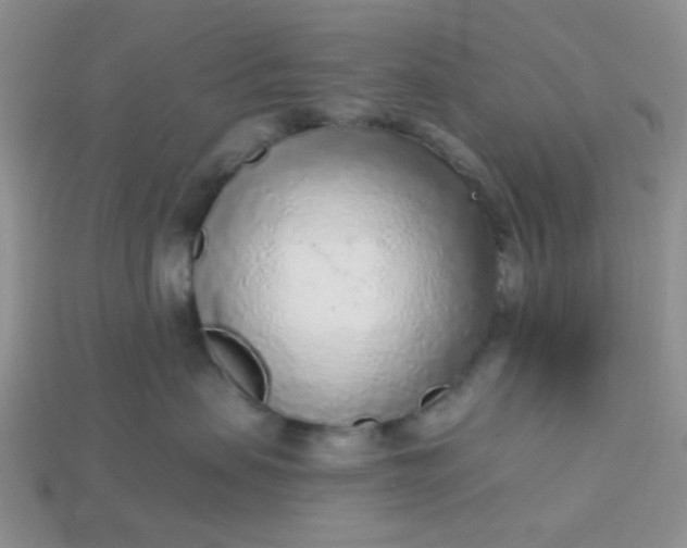 X0000113020479200909101841