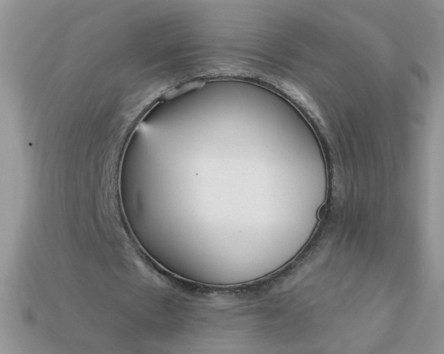 X0000113020481200909101841