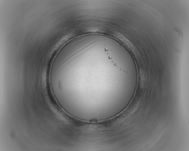 X0000113020482200909101841