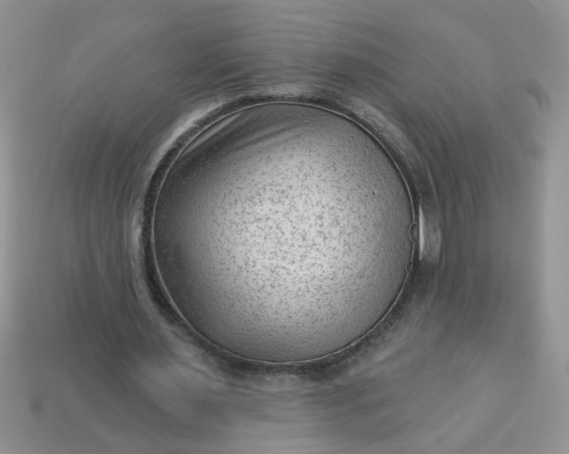 X0000113020483200909101841
