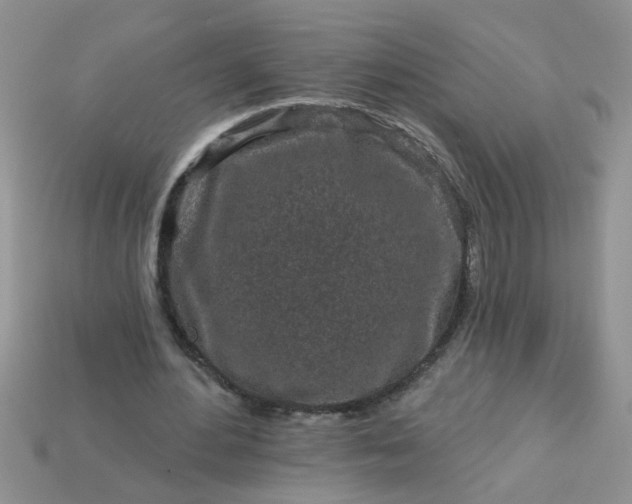 X0000113020484200909101841