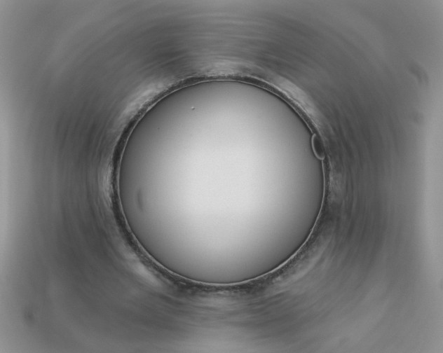 X0000113020485200909101841