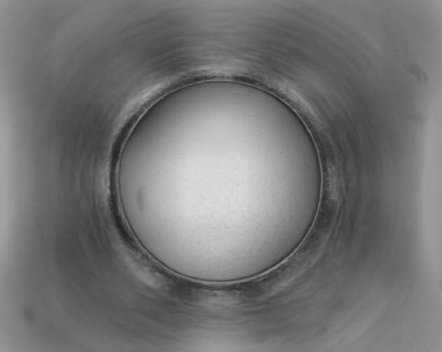 X0000113020486200909101841