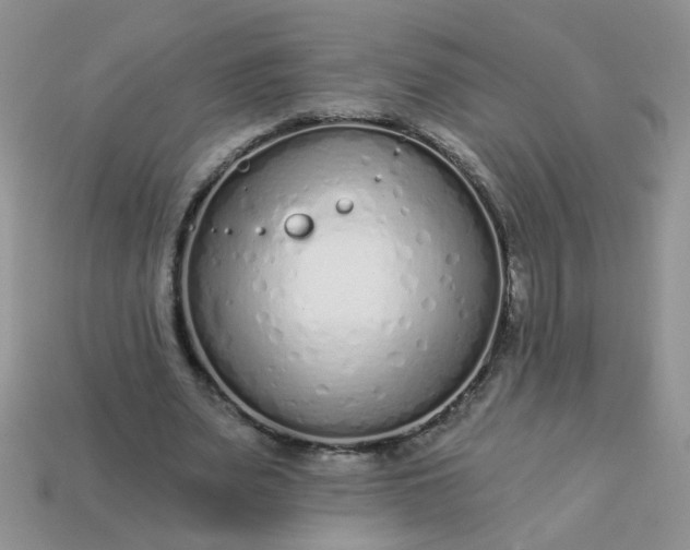 X0000113020487200909101841