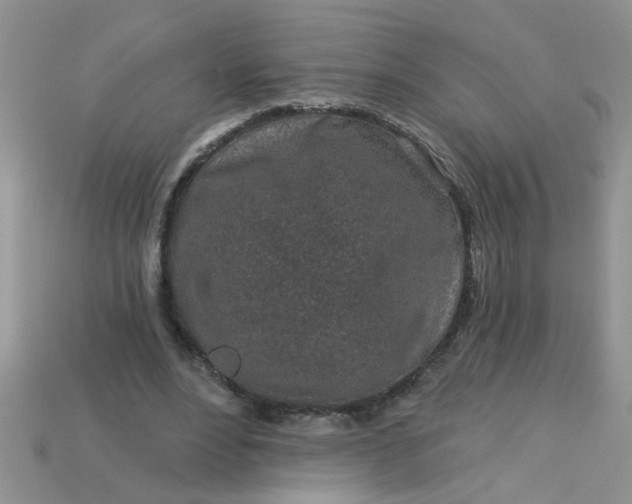 X0000113020488200909101840