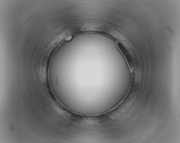X0000113020489200909101840