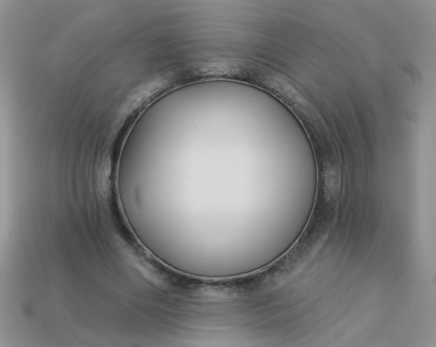 X0000113020490200909101840