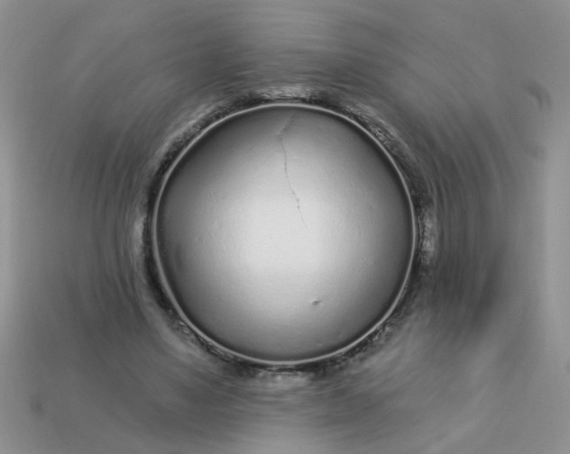 X0000113020491200909101840