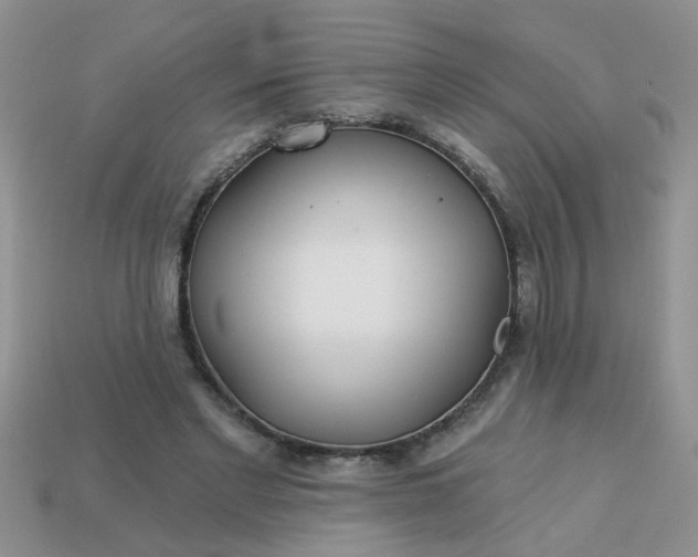 X0000113020493200909101840