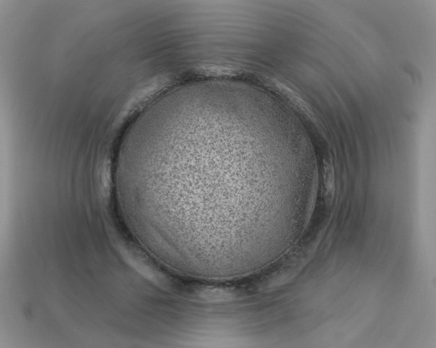 X0000113020494200909101840