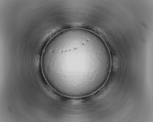 X0000113020495200909101840