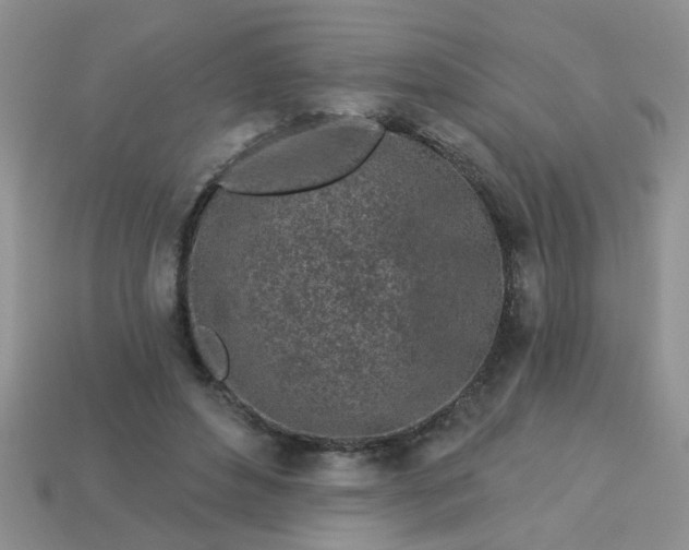 X0000113020496200909101840