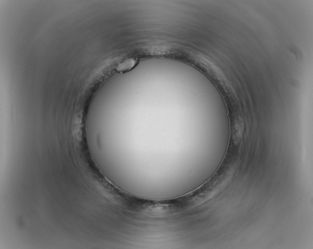 X0000113020497200909101840