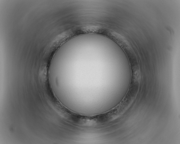 X0000113020498200909101840