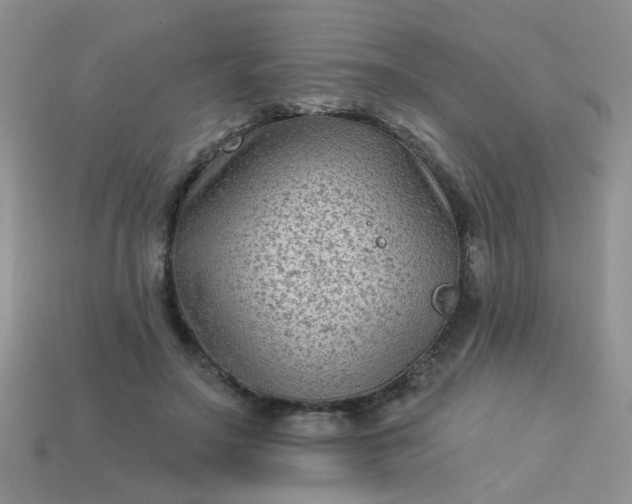 X0000113020499200909101840