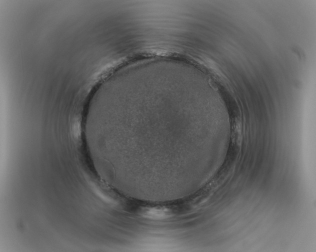 X0000113020500200909101840