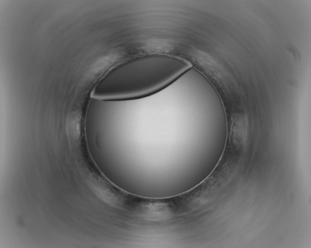 X0000113020501200909101840