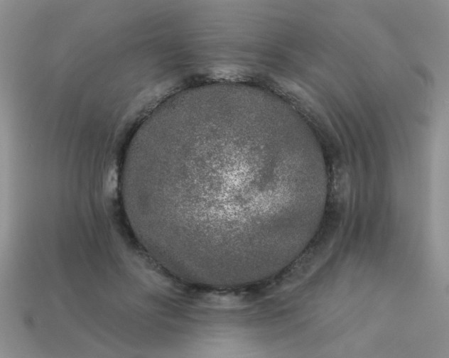 X0000113020502200909101840