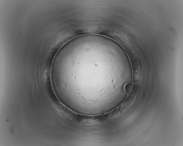 X0000113020503200909101840