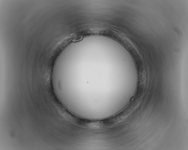 X0000113020505200909101840