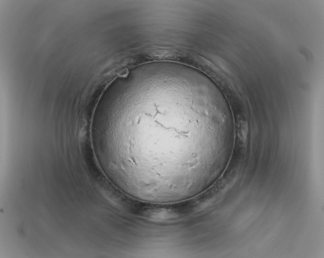 X0000113020507200909101840