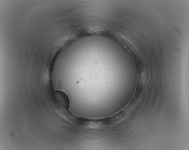 X0000113020508200909101840