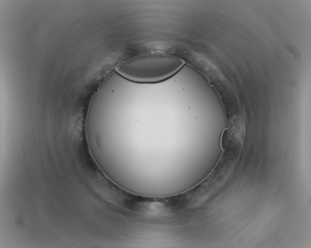 X0000113020509200909101840