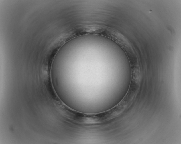 X0000113020510200909101840