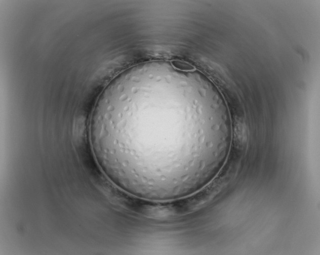 X0000113020511200909101840